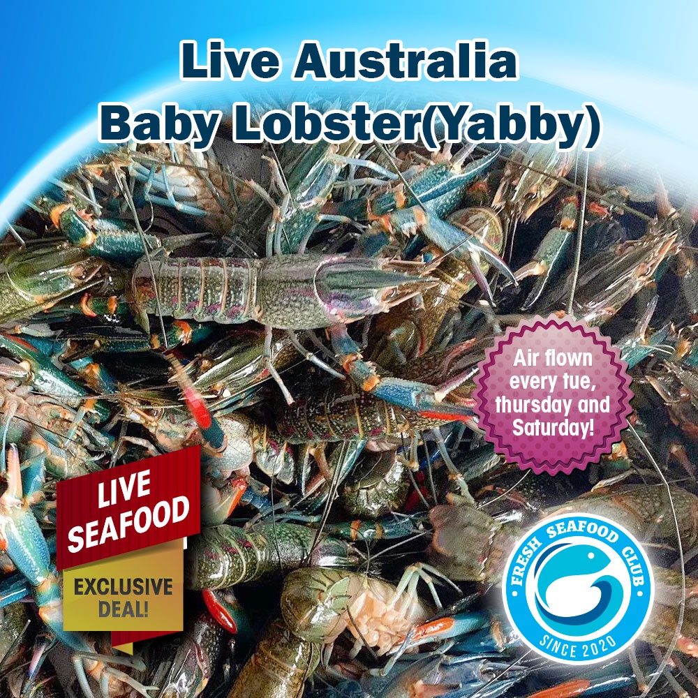 Baby Lobster