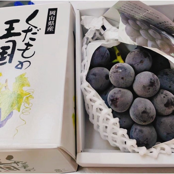 Seedless Kyoho Grape