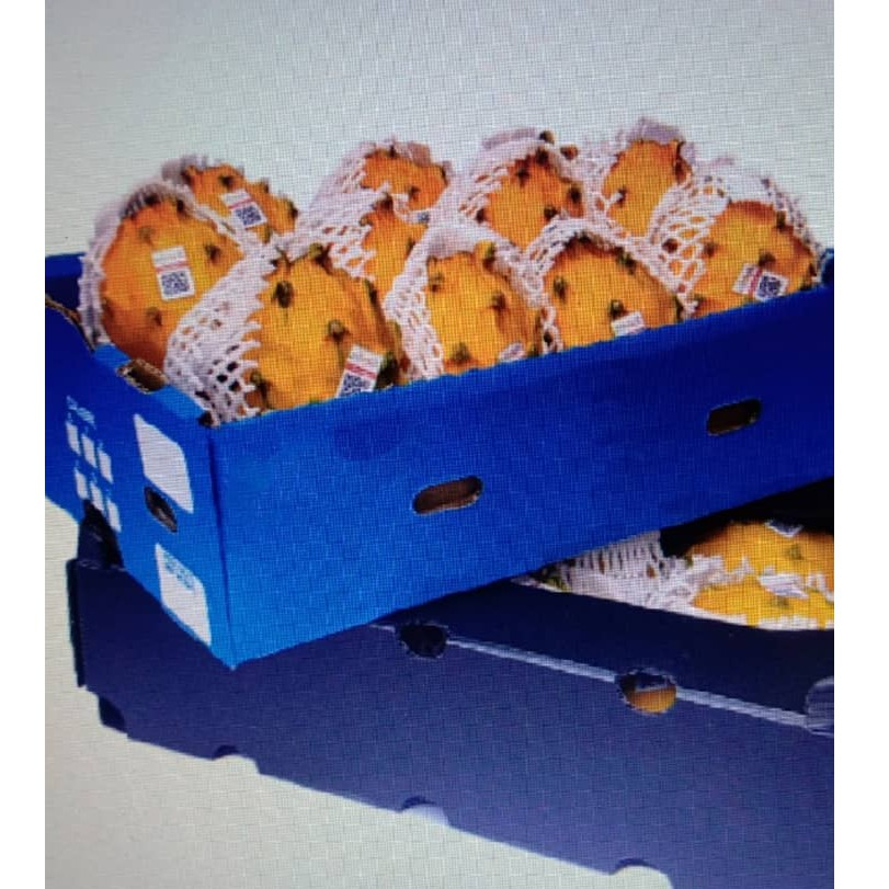 Fresh Sweet Dragon Fruits - Yellow Skinr